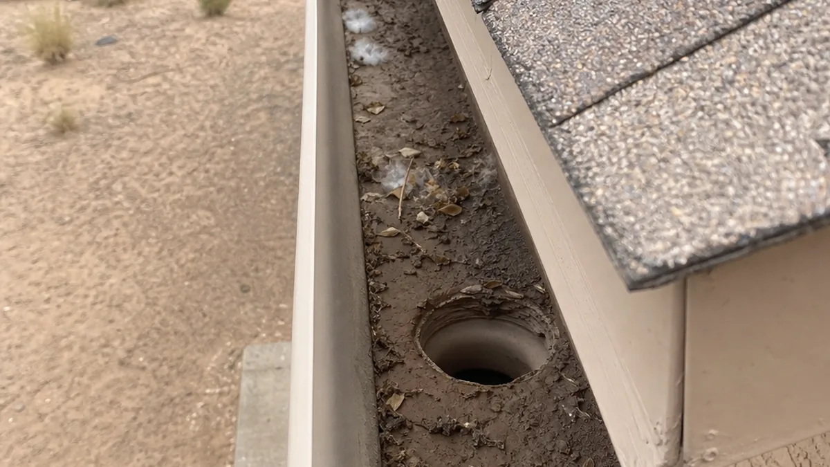 Roswell New Mexico gutter bottom with desert dust sludge, roof grit, dry leaves, and cottonwood fluff around a downspout outlet
